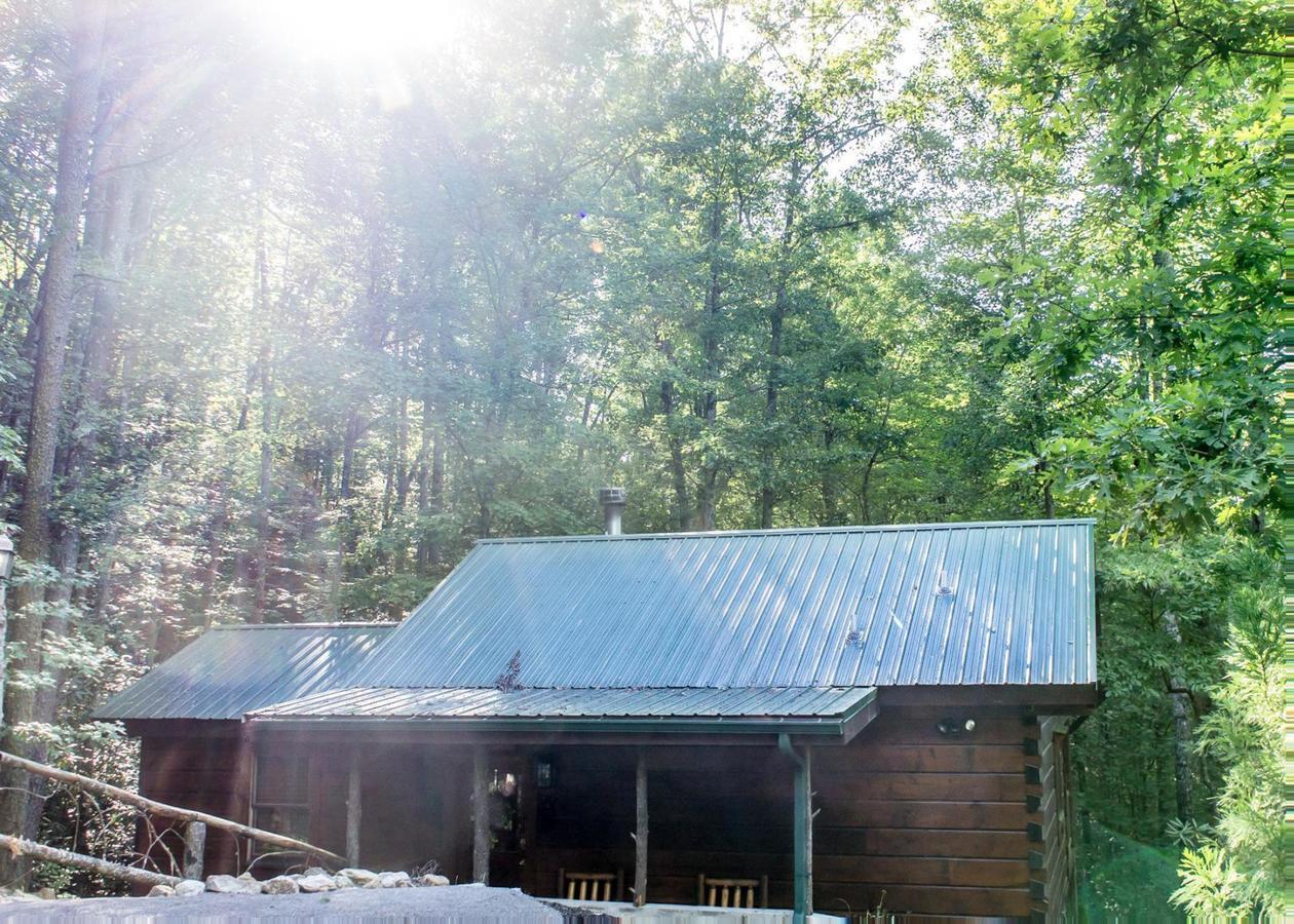 Bear Crossing #6 Vila Sevierville Exterior foto